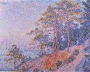 Paul Signac, Unknown work